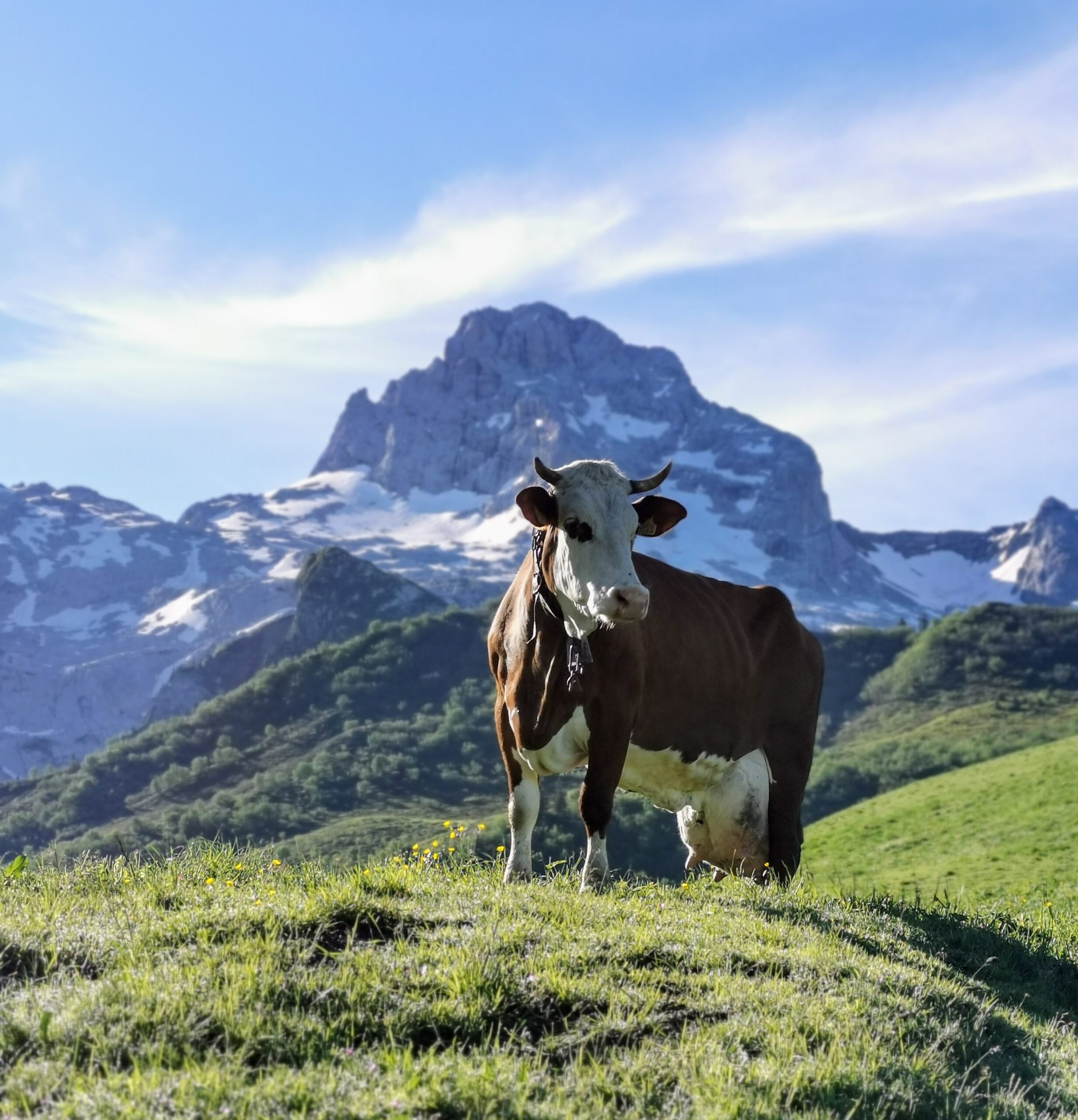 tourisme-montagne-aravis