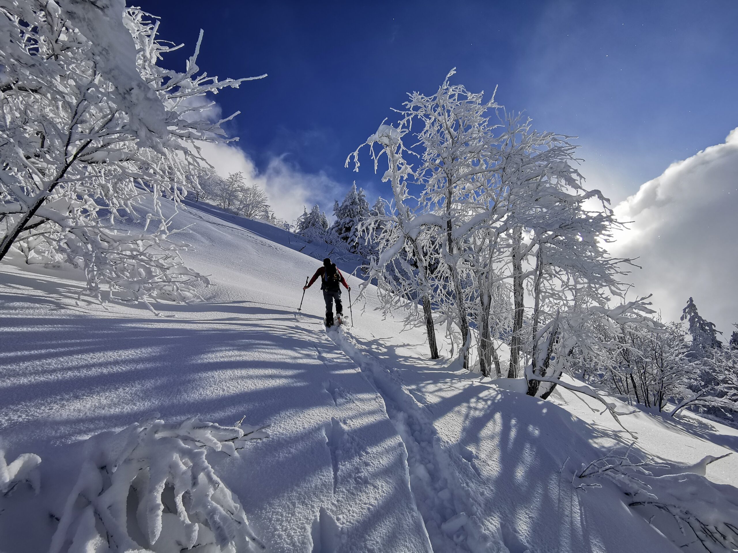 Poudreuse-aravis